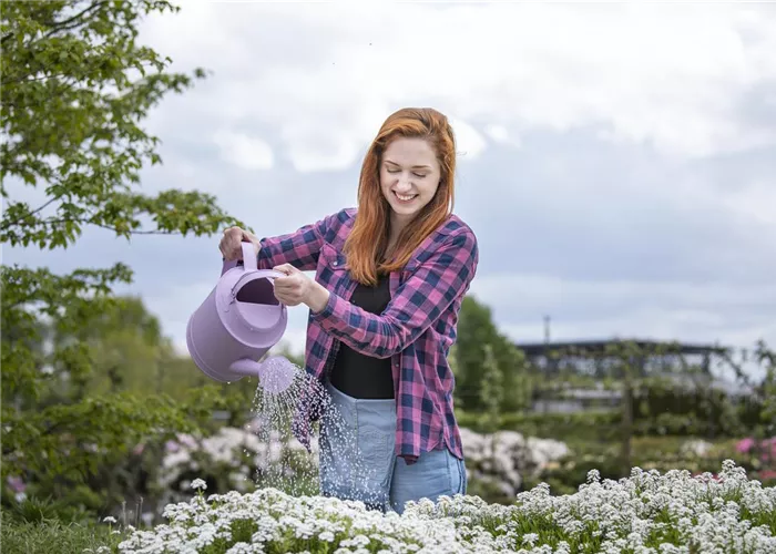 Frühling ist Pflanzzeit – ab in den Garten!