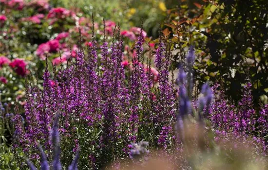 Wellness im eigenen Garten - Oasen schaffen