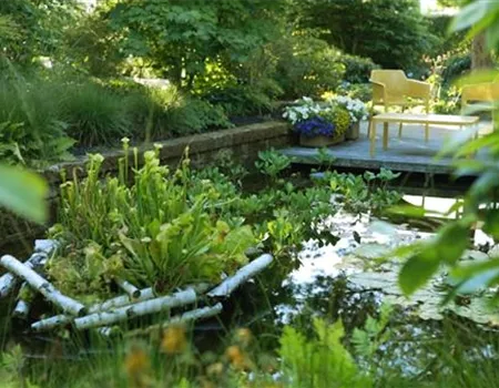 Gartengestaltung - Waldgarten Gartengestaltung - Waldgarten